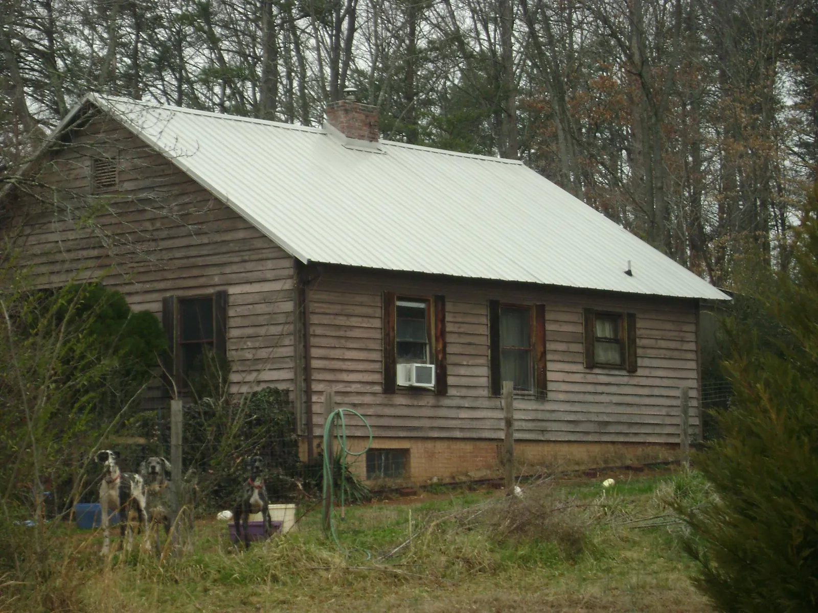 White metal roof on an old wood sided farmhouse, from a Asphalt Shingle Roof Repair job in Magna